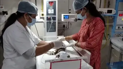 Newborn Buried Living in the Country Struggles for Survival