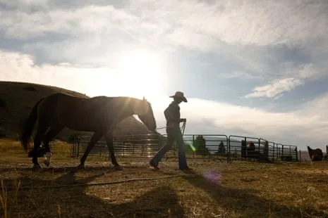Meet the US Female Ranchers Transforming Modern Ranching