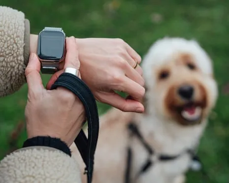 The Honest Scoop Regarding Wearable Tech? Living Improves Without a Nagging Zealot on Your Wrist
